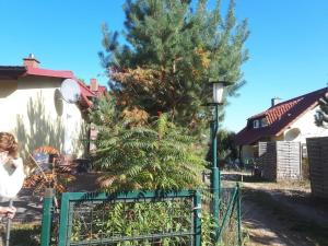 Gallery image of 12 Rheinsberg OT Großzerlang am See in Adamswalde