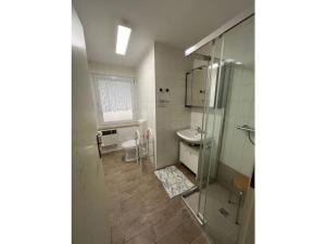 a bathroom with a shower and a sink and a toilet at Holiday house with 1 bedroom in Sewekow +33 photos