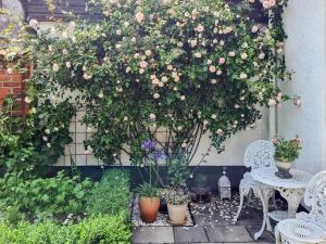 Zahrada ubytování Holiday home SIMRISHAMN