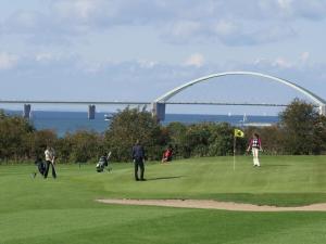 a group of people playing golf on a putting green at Seemöwe F180 Comfortable holiday residence in Fehmarn