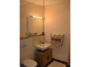 a bathroom with a sink and a toilet and a mirror at Köhler - Hütte Comfortable holiday residence in Brilon +5 photos