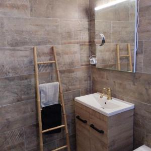 a bathroom with a sink and a mirror at Appartement verdoyant au bord du lac Leman entre Evian et Thonon dans une Villa in Publier +52 photos