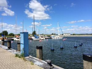 a group of boats are docked in a marina at Lobbe mit direkter Strandlage in Middelhagen