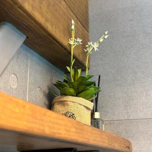 Foto sihtkohas Taichung asuva majutusasutuse 森旅行 galeriist