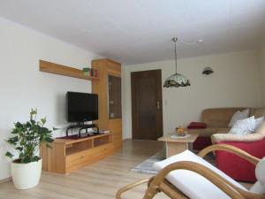 a living room with a couch and a tv at "Annelies" - barrier-free in Neufriedersdorf