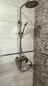 a shower with a shower head in a bathroom at Departamento Confortable in Puerto Iguazú