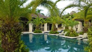 een zwembad voor een huis met palmbomen bij Villa Athena in Rio Grande