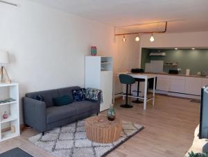 a living room with a couch and a kitchen at appartement hôtes entier Millau Compeyre in Compeyre