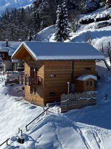 Chalet , Thyon Les Collons, 4 Vallées v zimě