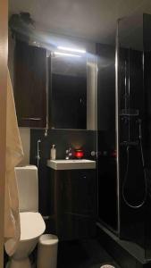 Koupelna v ubytování Aurora City penthouse