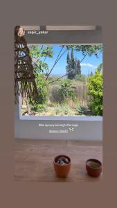 two bowls sitting on a table in front of a window at Maison Filo&Sofia in Porto Heli +34 photos
