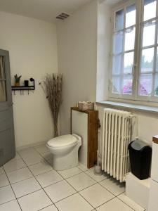 ein Badezimmer mit Toilette, Heizkörper und Fenster in der Unterkunft La maison du pont vieux - emplacement de parking gratuit - Proche Cité médiévale in Carcassonne