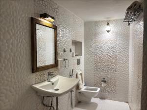 a bathroom with a sink and a toilet and a mirror at Shahi Guest House in Jodhpur