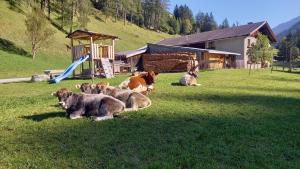 Hišni ljubljenčki, ki bivajo z gosti v nastanitvi Nagelehof Apartment Bendelstein