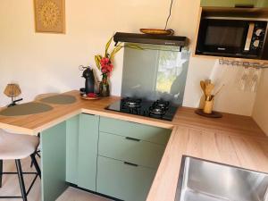 Кухня или кухненски бокс в Studio avec vue sur le piton Langevin