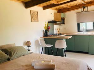 Кухня или кухненски бокс в Studio avec vue sur le piton Langevin