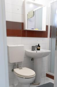 a bathroom with a toilet and a sink and a mirror at Konak Apartment in Sarajevo