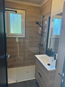 a bathroom with a shower and a sink and a shower at Maison St Lary 4Ch 10pers jardin in Saint-Lary-Soulan +10 photos