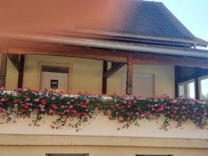a balcony with geraniums on a house at Gîte Le Ruisseau in Mackenheim