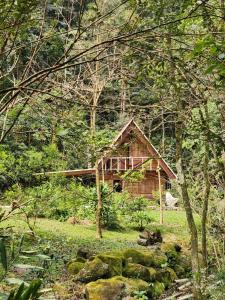 an old house in the middle of a forest at Chalé em meio à natureza! in Guabiruba