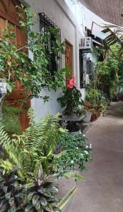 Zahrada ubytování Susing Seaside Guesthouse