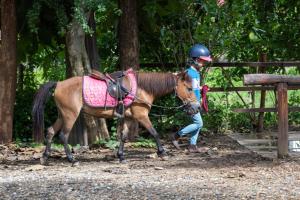 a person walking a horse next to a fence at NamKhan Horses Stables in Luang Prabang +101 photos