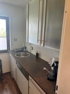 een keuken met een spoelbak en een aanrechtblad bij Ferienwohnung Winterberg Centrum 2 mit privatem Ski Keller in Winterberg +6 foto's