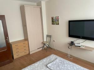 TV a/nebo společenská místnost v ubytování Апартамент Александр 1