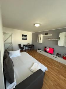 Imagen de la galería de SJ Apartment, en Tulcea