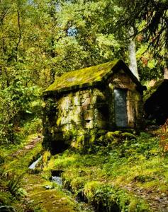 an old stone house in the middle of a forest at Casa da Igreja-Abadim in Cabeceiras de Basto