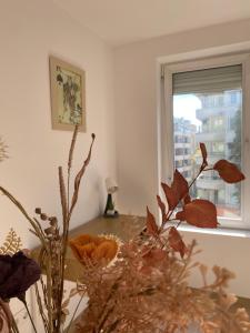 Fotografie z fotogalerie ubytování Sophie Studio - Top center, Cozy & Work-Friendly near AUBG, Free streaming platforms v destinaci Blagoevgrad