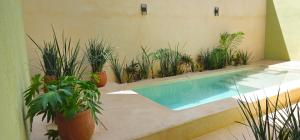 a swimming pool with potted plants in a building at Casa Zogo Origen in Valladolid