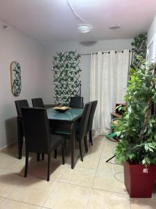 Fotografie z fotogalerie ubytování Amdar Hostel v destinaci Eilat