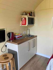 Η κουζίνα ή μικρή κουζίνα στο Ty Barcud Glamping Pod