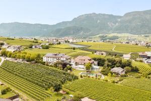 an aerial view of a village with vineyards and mountains at Hotel Girlanerhof in Appiano sulla Strada del Vino +26 photos