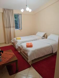 ティラナにあるDamian And Gerardの赤い敷物が敷かれた部屋のベッド2台