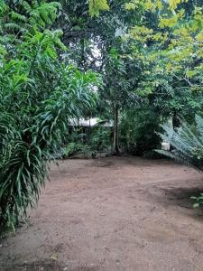 Zahrada ubytování Sigiri Mango Garden Eco Resort
