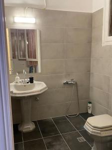a bathroom with a sink and a toilet at Sandras apartment in Igoumenitsa