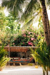 Zahrada ubytování Lagoon Villa Maldives