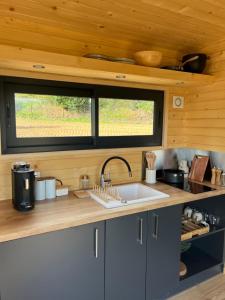 a kitchen with a sink and a window at La tiny house sainte victoire in Meyreuil