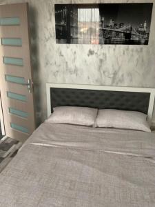 a bedroom with a large bed with a gray headboard at Serin Blaxy Studio in Mangalia