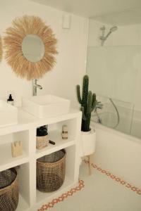 a bathroom with a sink and a mirror and a cactus at Logement avec jardin à 200m de la digue in Wimereux