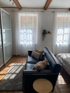 Predel za sedenje v nastanitvi Apartment mit Sauna im Wienerwald - Mödling