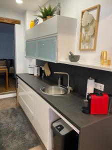 Kuhinja oz. manjša kuhinja v nastanitvi Apartment mit Sauna im Wienerwald - Mödling