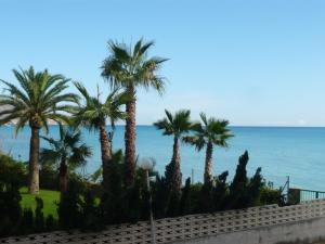 uma fileira de palmeiras junto ao oceano em Hostal El Trovador em Altea