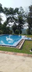 a large swimming pool with rocks in the grass at Zen Namkhan Boutique Resort in Ban Xianglôm