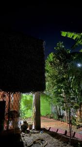 a house with ivy on the side of it at night at Open house in Auroville