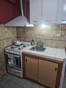 una cucina con fornelli e lavello di LaNona a Río Gallegos