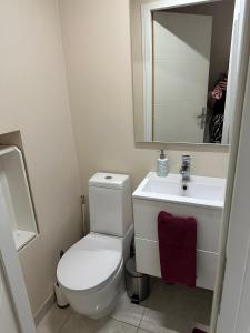 a bathroom with a white toilet and a sink at Appartement aux portes de Genève in Archamps +12 photos