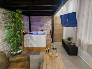 TV a/nebo společenská místnost v ubytování Au spa de LLea Suite rétro